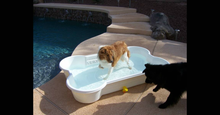 3 QTY Bone Pool™️ Package by One Dog One Bone™️