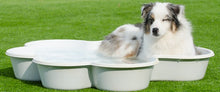2 QTY Bone Pool™️ 1 QTY Paw Pool™️ Package by One Dog One Bone™️