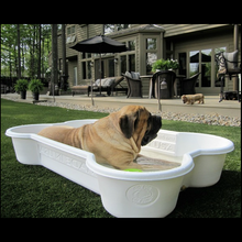 4 QTY Bone Pool™️Package by One Dog One Bone™️
