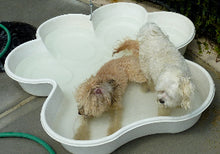 5 QTY Bone Pool™️and 5 QTY Paw Pool™️ Package by One Dog One Bone™️