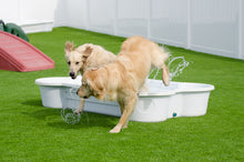 3 QTY Bone Pool™️ and 1 QTY Paw Pool™️ Package by One Dog One Bone™️